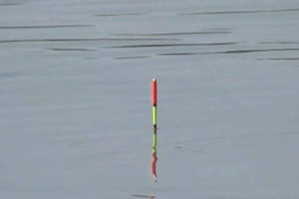 漂相为什么不明显，钓得过钝、线组过大、小鱼闹窝都是常见原因