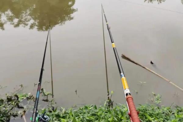 漂相为什么不明显，钓得过钝、线组过大、小鱼闹窝都是常见原因