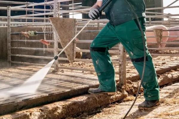 猪舍要每天冲洗吗，夏季可以每天冲洗