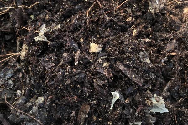 让盆栽植物茂盛生长的方法，每隔3个月要追肥一次