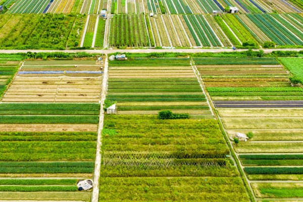 农田能建大棚搞养殖吗，基本农田不可以建大棚来搞养殖