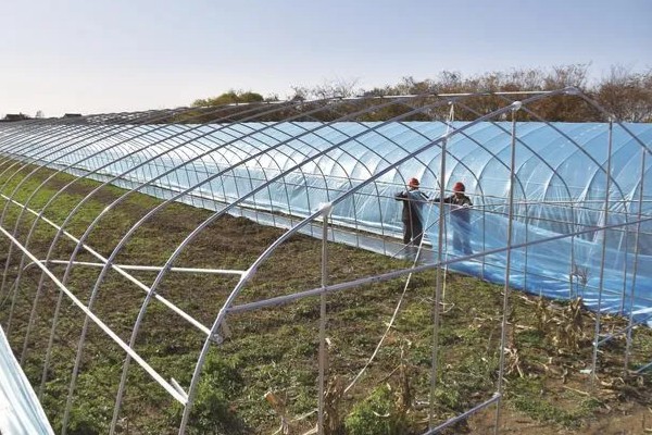 农田能建大棚搞养殖吗，基本农田不可以建大棚来搞养殖