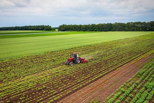 农田能建大棚搞养殖吗，基本农田不可以建大棚来搞养殖