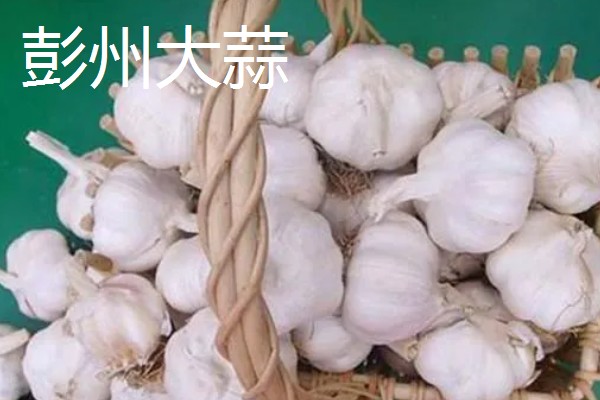 四川省彭州市有什么特产，彭州大蒜远销东南亚诸国