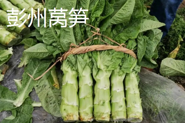 四川省彭州市有什么特产，彭州大蒜远销东南亚诸国