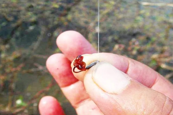 钓黄颡鱼的钓具，鱼竿建议用溪流竿