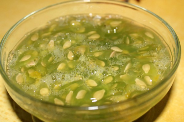 6月初适合种植哪些农作物，推荐夏玉米、夏大豆等