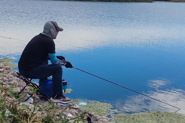 怎么钓罗非鱼上鱼快，鱼钩可用袖钩、海夕钩或伊豆钩