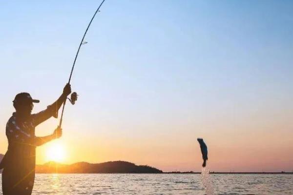 怎么钓罗非鱼上鱼快，鱼钩可用袖钩、海夕钩或伊豆钩