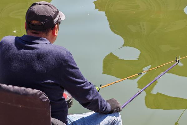 怎么钓罗非鱼上鱼快，鱼钩可用袖钩、海夕钩或伊豆钩