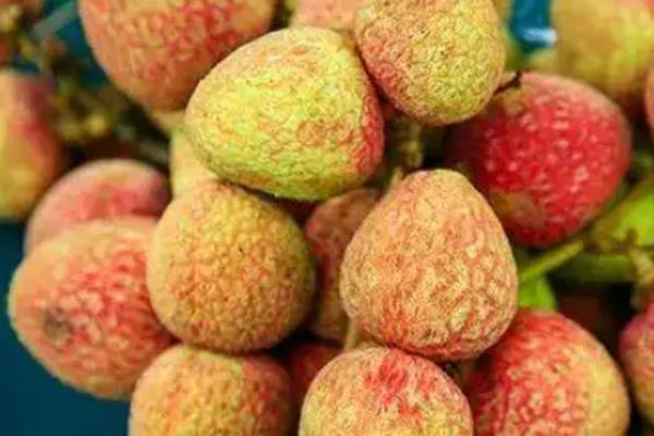 有哪些早熟荔枝品种，常见的有仙桃荔枝、香蜜早荔枝等