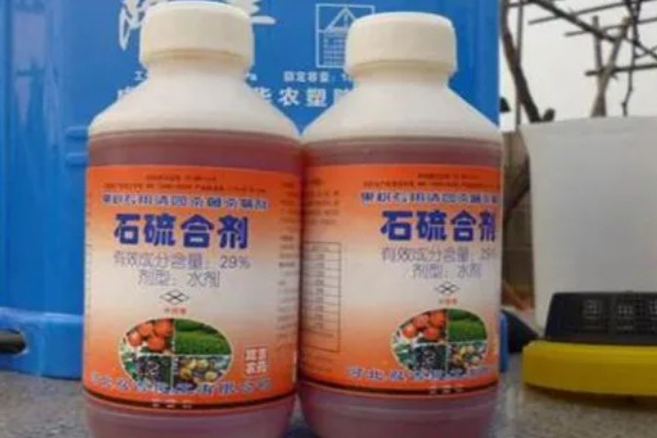 果树清园药剂怎么选择，清园药剂要渗透性强