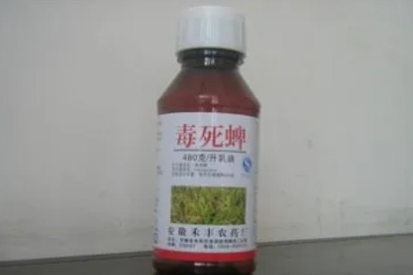 果树清园药剂怎么选择，清园药剂要渗透性强