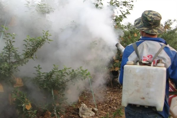 果树清园药剂怎么选择，清园药剂要渗透性强