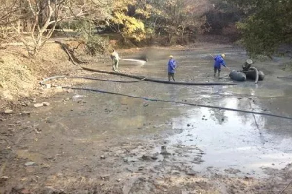大黄鱼的养殖技术，放养密度控制在每亩500-700