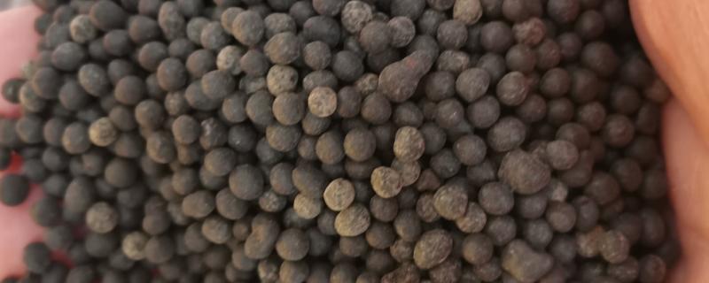 生物菌肥好不好，生物菌肥主要通过微生物来改善土壤