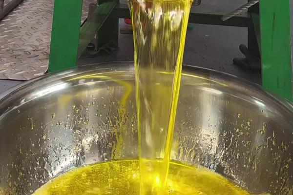 种植10亩油茶所需成本，10年总计5万余元