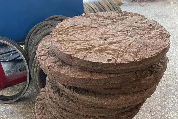 种植10亩油茶所需成本，10年总计5万余元