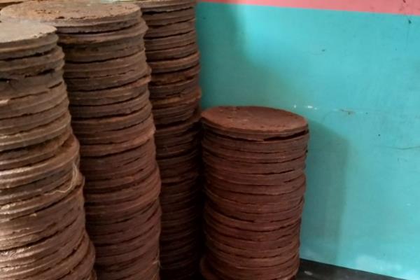 种植10亩油茶所需成本，10年总计5万余元