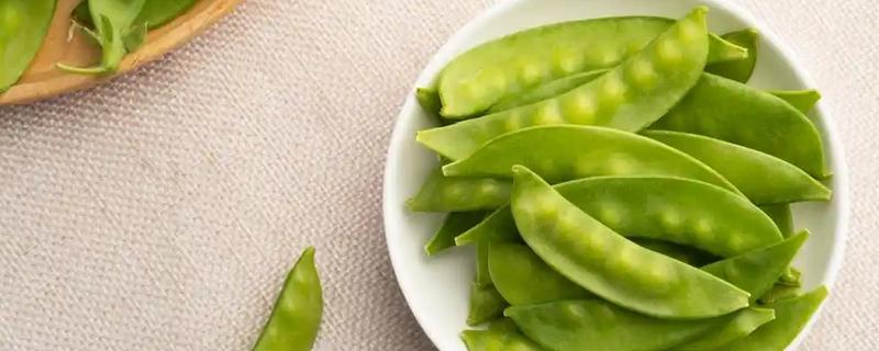 扁豆与荷兰豆的区别，种属和外形均不同