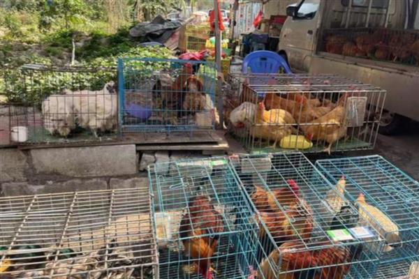 中国为何要进口农产品，是对于优质农产品需求的增加