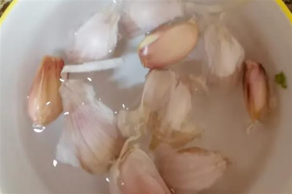 如何种植蒜苗，首先要选择优良的种子