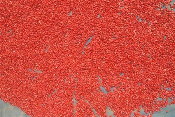 生物菌肥好不好,生物菌肥主要通过微生物来改善土壤