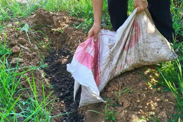 生物菌肥好不好,生物菌肥主要通过微生物来改善土壤