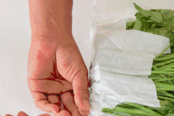 绿叶蔬菜怎样保鲜，可以用吸水纸保鲜法、浸水保鲜法