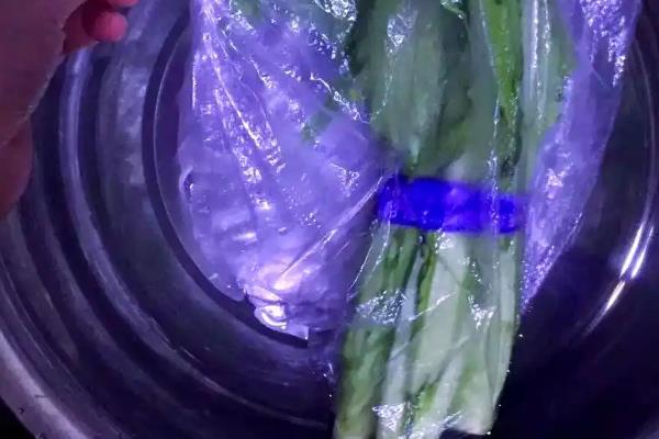 绿叶蔬菜怎样保鲜，可以用吸水纸保鲜法、浸水保鲜法