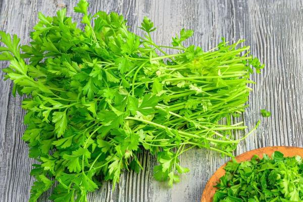 绿叶蔬菜怎样保鲜，可以用吸水纸保鲜法、浸水保鲜法