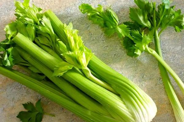 绿叶蔬菜怎样保鲜，可以用吸水纸保鲜法、浸水保鲜法