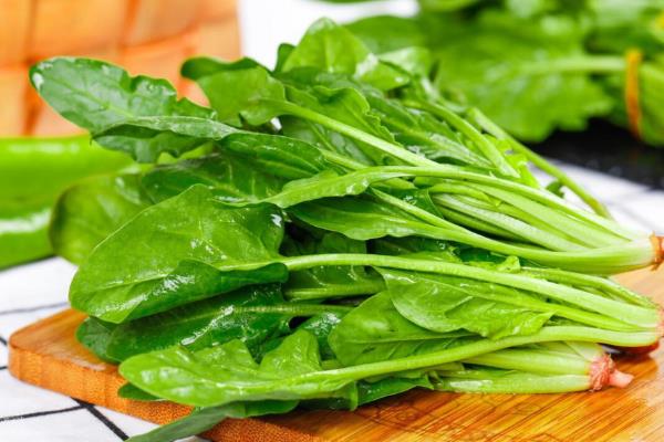 绿叶蔬菜怎样保鲜，可以用吸水纸保鲜法、浸水保鲜法