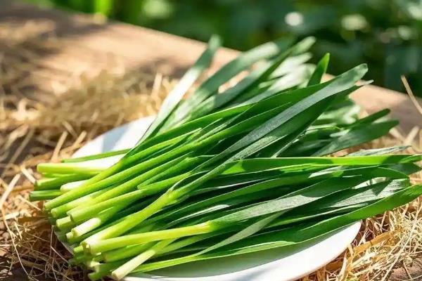 绿叶蔬菜怎样保鲜，可以用吸水纸保鲜法、浸水保鲜法