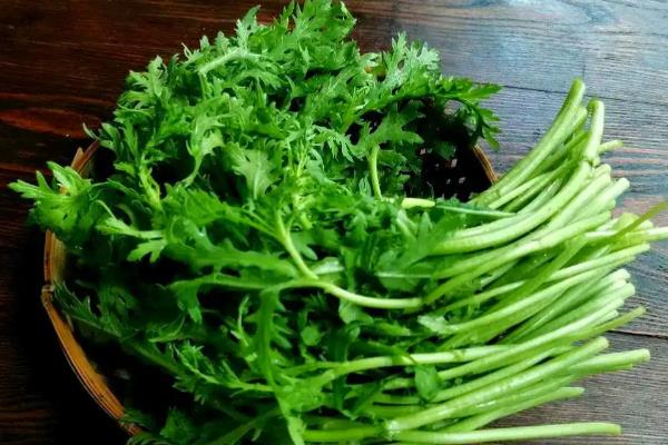 绿叶蔬菜怎样保鲜，可以用吸水纸保鲜法、浸水保鲜法