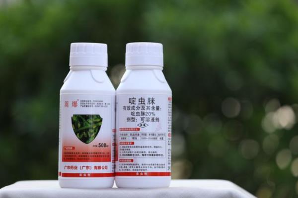 氯氟啶虫脒的防治对象，可以防治蚜虫、粉虱、蓟马等害虫
