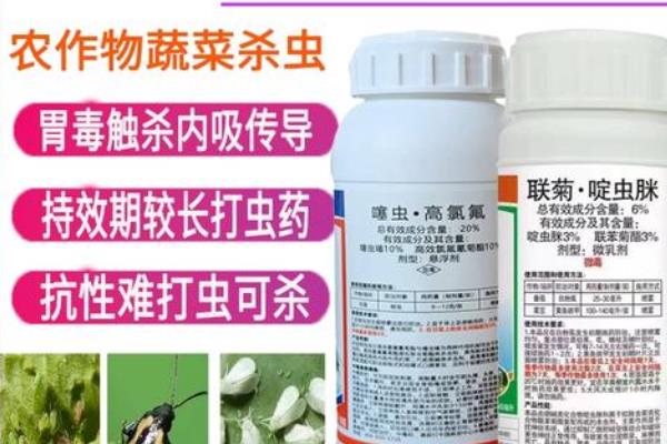 氯氟啶虫脒的防治对象，可以防治蚜虫、粉虱、蓟马等害虫