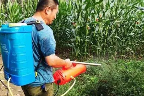 玉米大喇叭口期打哪种药，针对不同的害虫使用不同的药物