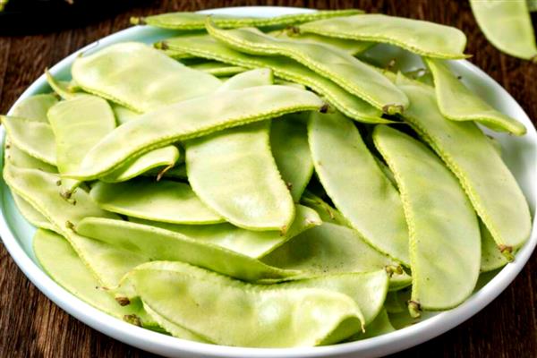 扁豆与荷兰豆的区别,种属和外形均不同