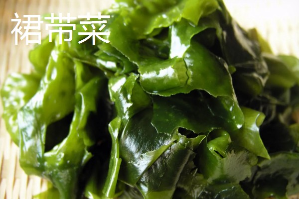 海带苗和裙带菜的区别，外形、分布、口感等方面都不同