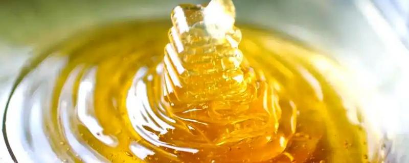 百花蜜和洋槐蜜哪个好，洋槐蜜的色泽、口感稍胜一筹