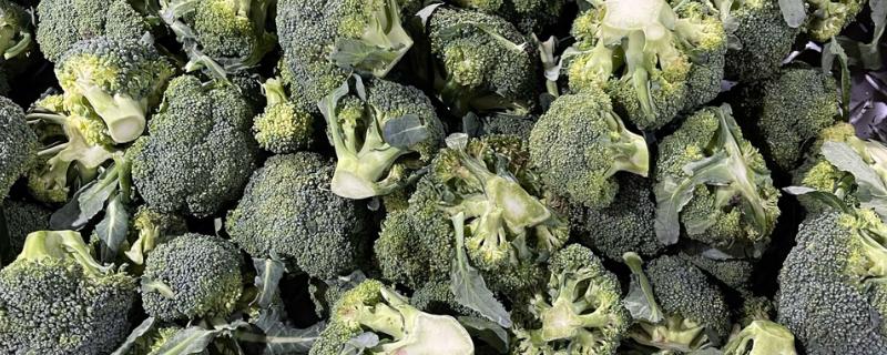 西兰花可以放多久，正常情况下可以保存1-3天左右