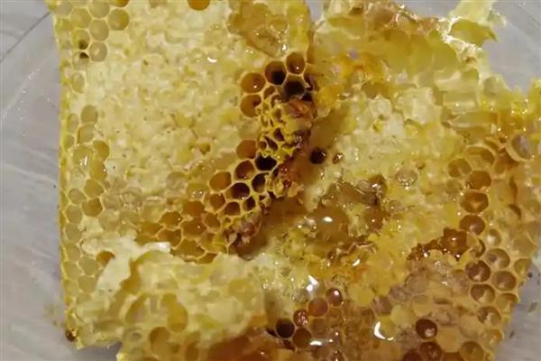 儿童能不能吃蜂巢蜜，必须适时适量食用