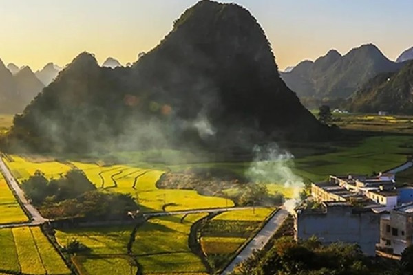 广西天等县的特产,有指天椒、苦丁茶等