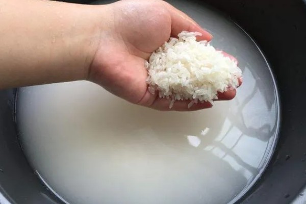 生产米粉的技术,原料包括精白籼米、单甘酯等