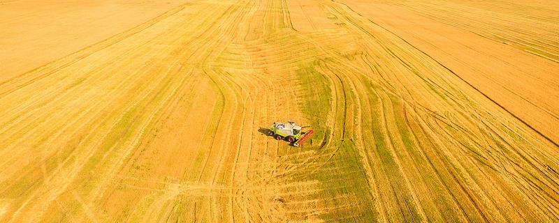 乌克兰适合种植什么农作物，适合种植玉米、小麦、大麦等