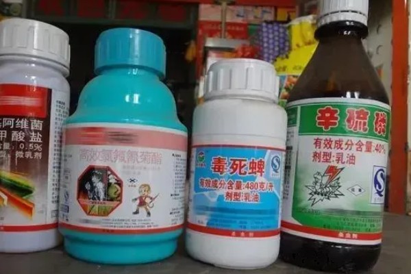 农药残留的去除方法,叶菜类蔬菜可以先冲洗再浸泡