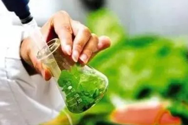 农药残留的去除方法,叶菜类蔬菜可以先冲洗再浸泡