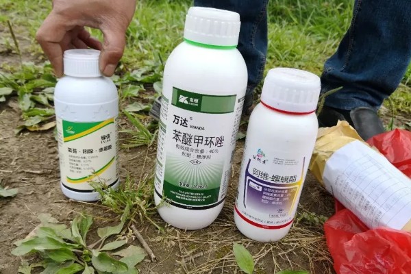 农药残留的去除方法,叶菜类蔬菜可以先冲洗再浸泡