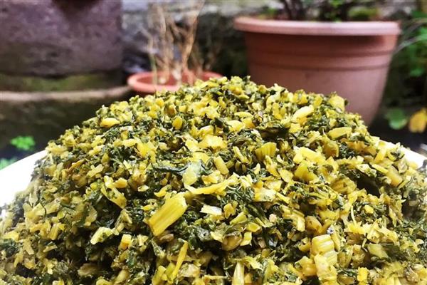 油菜一菜两用模式，一般在9-10月份移栽